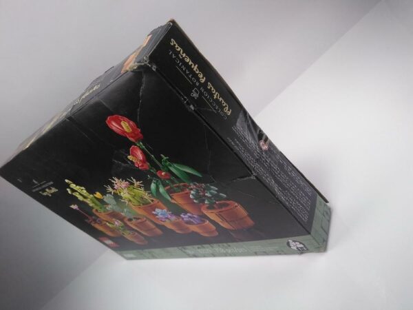 LEGO Botanicals Tiny Plants -10329 DAMAGED PACKAGING - Image 2