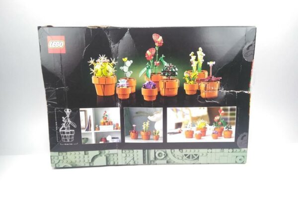LEGO Botanicals Tiny Plants -10329 DAMAGED PACKAGING - Image 3