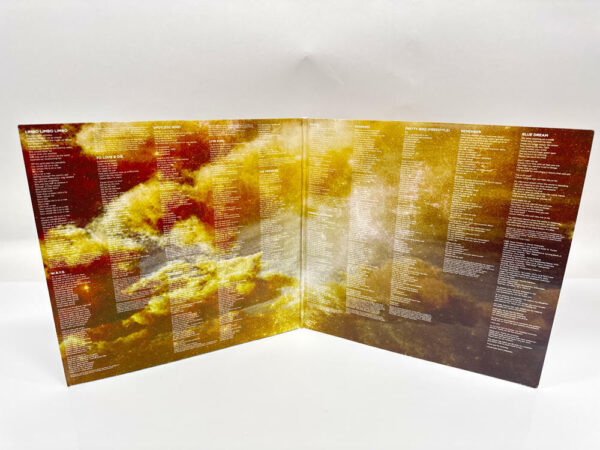 Jhene Aiko  - Souled Out[Blue Lagoon 2 LP] - Image 3