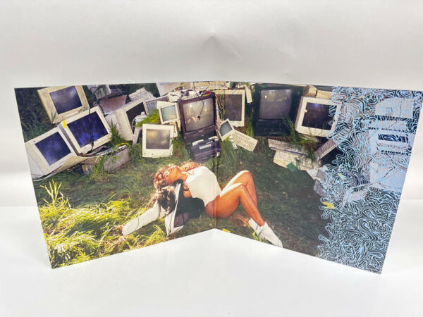 SZA - Ctrl [11/17] (Vinyl/2LP) - Image 2